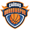 https://img.cqpinyu.com/img/basketball/team/8b1e25c5d2bd93d0accfbaba14185f05.png