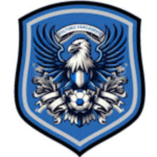 https://img.cqpinyu.com/img/football/team/09bb5b9732bc080d522c37e74ce70004.png